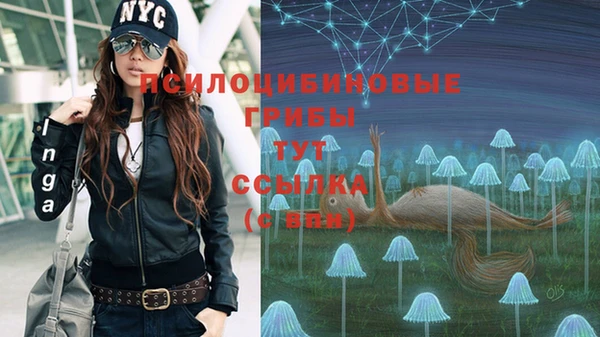 мяу мяу кристалл Мегион