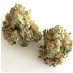 Шишки "White Widow"  (Белая вдова)  Гидропоника -  Бошка VHQ в Сельцо